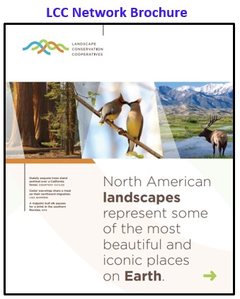 LCC Network Brochure